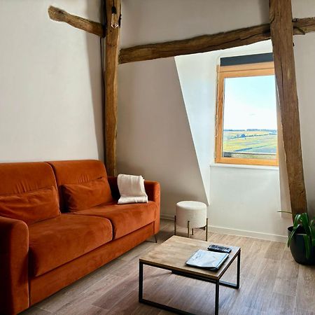Appartement Cosy Vue Sur Le Vignoble Sancerre Zewnętrze zdjęcie