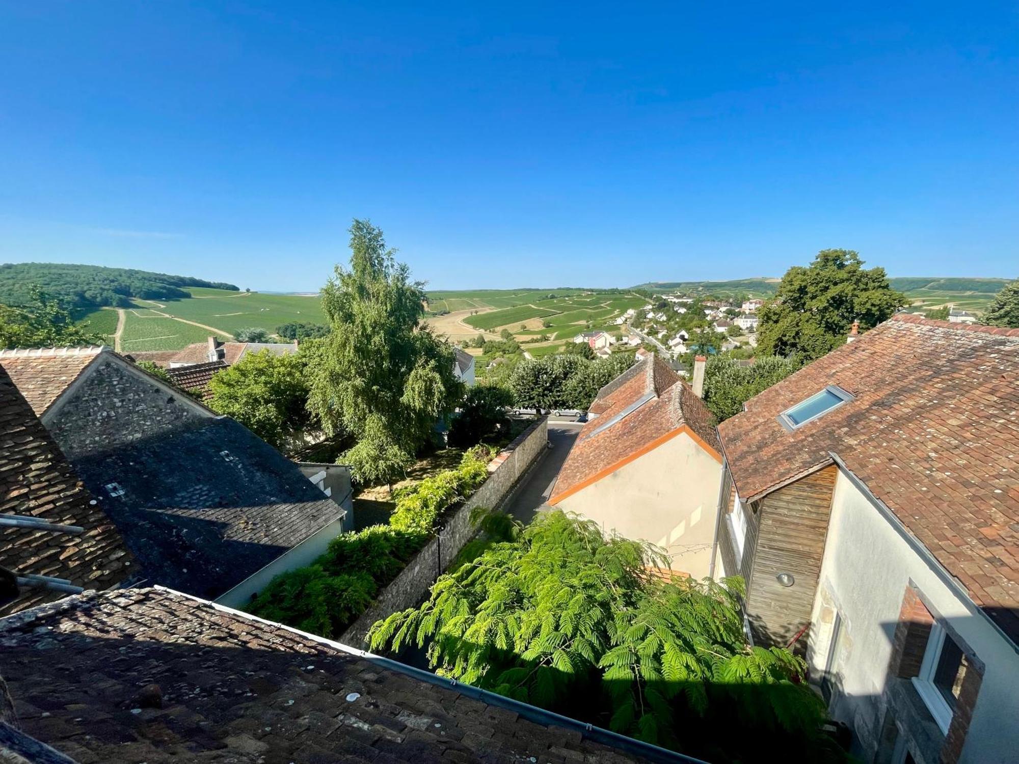 Appartement Cosy Vue Sur Le Vignoble Sancerre Zewnętrze zdjęcie