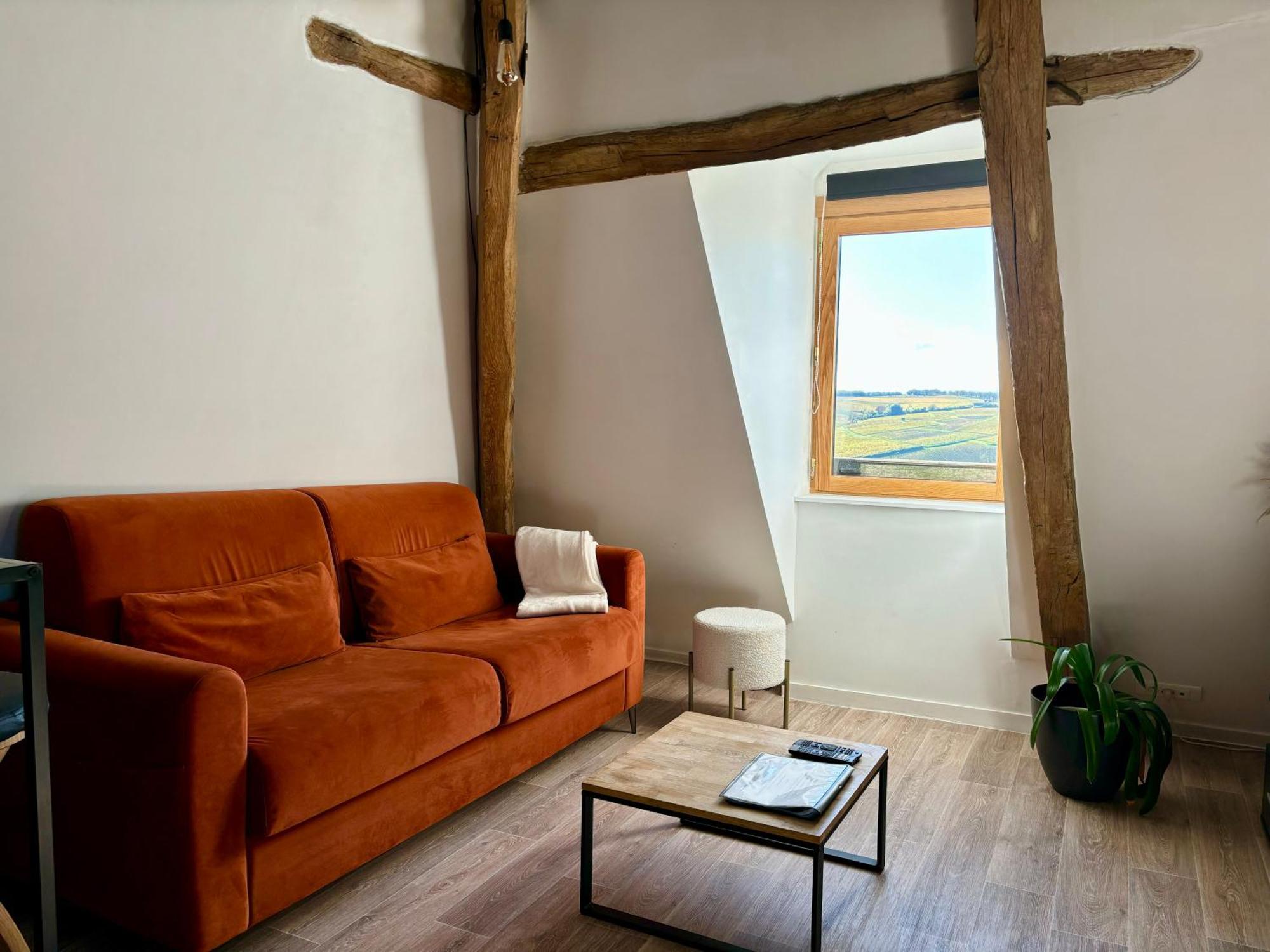 Appartement Cosy Vue Sur Le Vignoble Sancerre Zewnętrze zdjęcie
